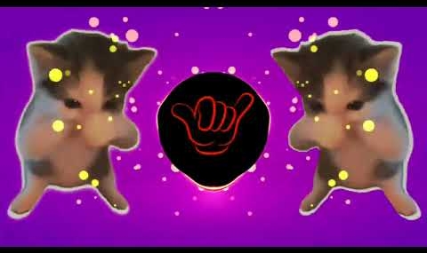 DJ KICAU KICAU KICAU MANIA FULL SONG MAMAN FVNDY VIRAL TIKTOK TERBARU YANG KALIAN CARI 2026