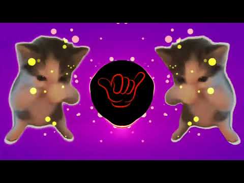 DJ KICAU KICAU KICAU MANIA FULL SONG MAMAN FVNDY VIRAL TIKTOK TERBARU YANG KALIAN CARI 2026