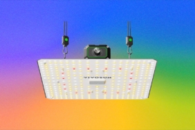 the-best-led-grow-lights-for-houseplants-this-winter-(2026)