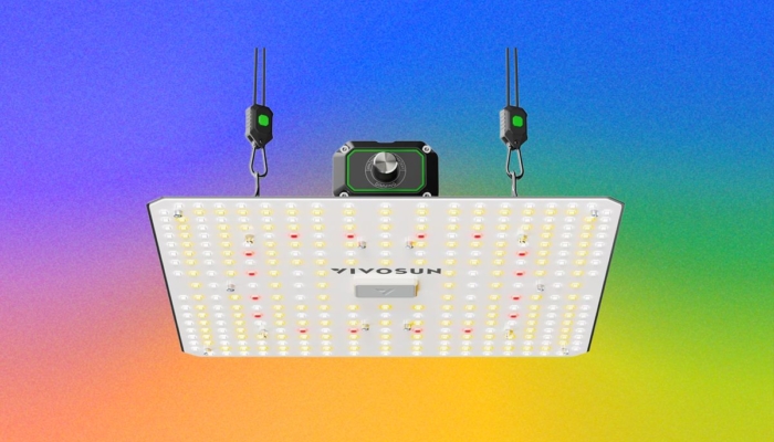 the-best-led-grow-lights-for-houseplants-this-winter-(2026)