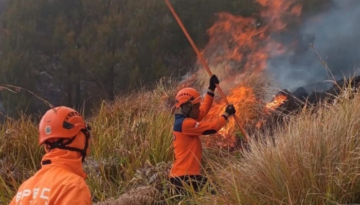 petugas-gugur-di-bromo,-prosedur-keselamatan-diuji