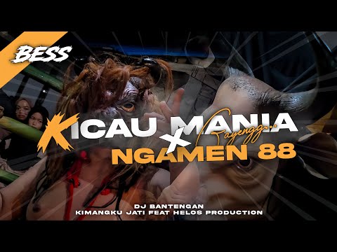 DJ BANTEGAN KICAU MANIA X NGAMEN 88 ‼️ KI MANGKY JATI FT HELOSPRODUCTION