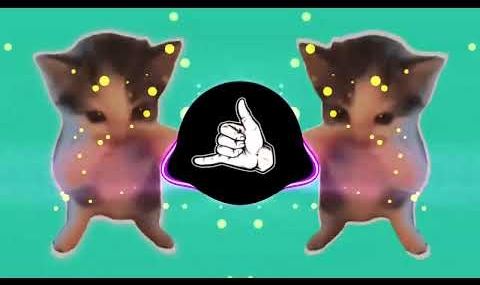 DJ KICAU KICAU KICAU MANIA SLOW VIRAL TIKTOK FULL SONG MAMAN FVNDY 2026