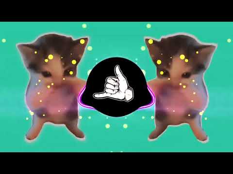DJ KICAU KICAU KICAU MANIA SLOW VIRAL TIKTOK FULL SONG MAMAN FVNDY 2026