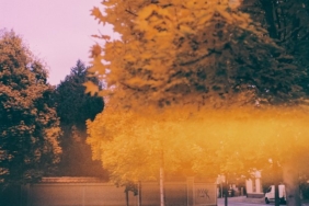 in-the-frame:-autumnal-escapades