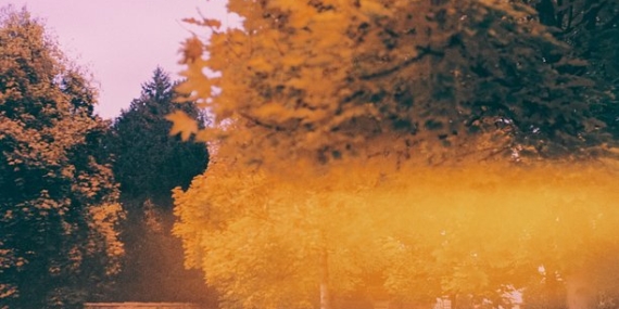 In the Frame: Autumnal Escapades