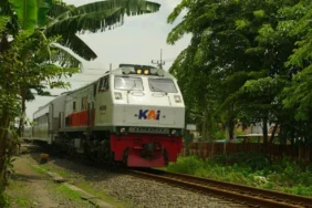 jangan-pasang-ekspektasi-ketinggian-saat-naik-ka-airlangga,-nanti-bisa-kecewa