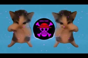 DJ KICAU KICAU KICAU MANIA SLOW VIRAL TIKTOK FULL SONG MAMAN FVNDY 2026