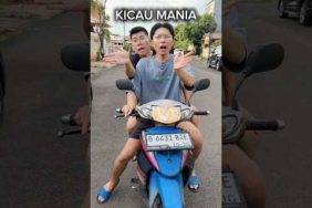Malah joget kicau mania