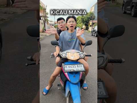 Malah joget kicau mania