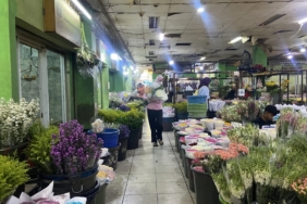 suatu-pagi-di-pasar-bunga-rawa-belong