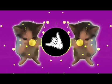 DJ KICAU KICAU KICAU MANIA SLOW VIRAL TIKTOK FULL SONG MAMAN FVNDY 2026