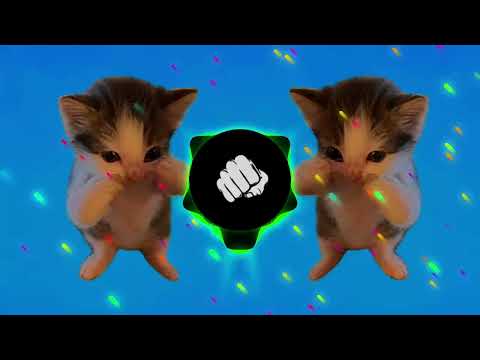 DJ KICAU KICAU KICAU MANIA SLOW VIRAL TIKTOK FULL SONG MAMAN FVNDY 2026