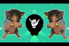 DJ KICAU KICAU KICAU MANIA SLOW VIRAL TIKTOK FULL SONG MAMAN FVNDY 2026