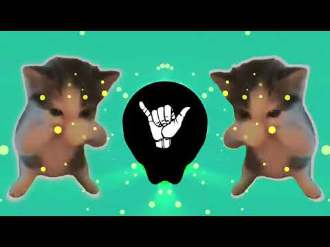 DJ KICAU KICAU KICAU MANIA SLOW VIRAL TIKTOK FULL SONG MAMAN FVNDY 2026