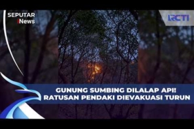 Gunung Sumbing Terbakar! 152 Pendaki Dievakuasi dari Ketinggian 2.500 Mdpl | SIP 21/10