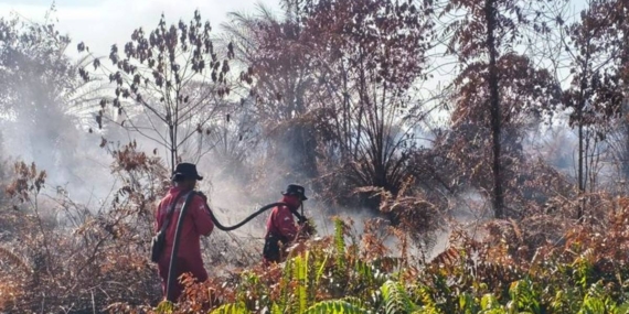 Jurus Jitu Mengatasi Karhutla: Pemadaman & Pencegahan Perlu Jalan Beriringan