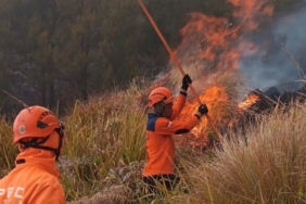 profil-5-petugas-karhutla-bromo-yang-meninggal-saat-padamkan-api