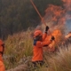 profil-5-petugas-karhutla-bromo-yang-meninggal-saat-padamkan-api