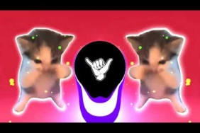 DJ KICAU KICAU KICAU MANIA SLOW VIRAL TIKTOK FULL SONG MAMAN FVNDY 2026 YANG KALIAN CARI CARI
