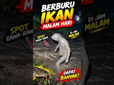 Mancing mania | Berburu ikan malam #mancing #ikan #shortvideo