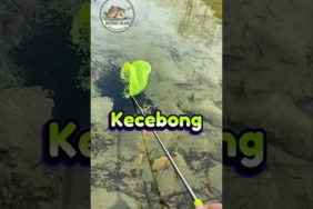 Kalau nyerok tapi gak dapat ikan, kamu pilih apa? #fishing #mancing #ikan #mancingmania #shorts