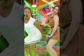 Kicau, kicau, kicau mania #kicaumania #shintagisul #desiafrika #dangdut #dangdutkoplo #lagujawa