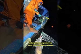 Modal Umpan Bercahaya, Nelayan Ini Pancing Monster Laut! #faktaunik #mancing #cumi