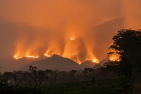 hidrofobitas,-ketika-tanah-di-bekas-kebakaran-lahan-menolak-air