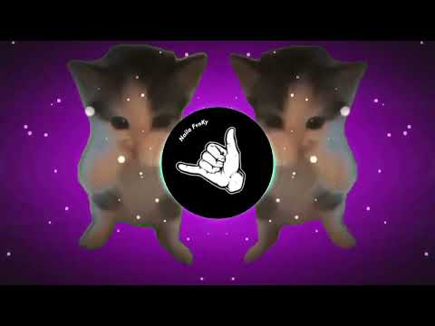 DJ KICAU KICAU KICAU MANIA SLOW VIRAL TIKTOK FULL SONG MAMAN FVNDY 2026
