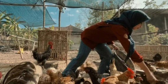 Berkah Tabungan Beasiswa & Ketekunan Belajar di UGM, Anjeli Berhasil Jadi Pebisnis Ayam Petelur