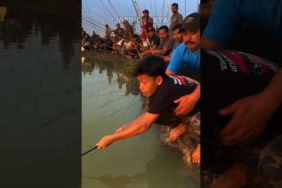 Bocil mau jatuh ditarik lele segede dia 🤣🤣 #fishing #fish #mancing #ikan