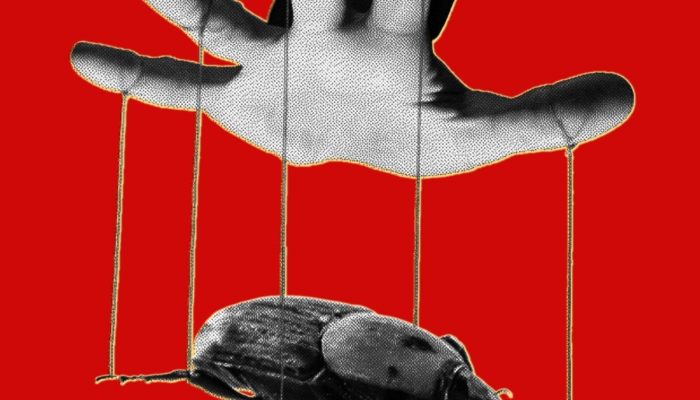 the-php-meltdown-shows-how-ai-makes-bugs-more-exploitable