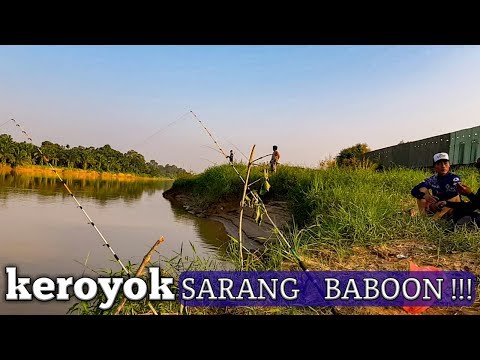 MANCING DI BELAKANG PABRIK TUA !!! BEGINI JADINYA || Vlog 114