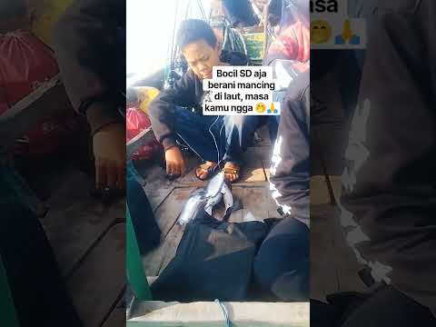 hasil mancing bocil diaut Patimban #mancing #fishing #mancingmania #ikan #fish #mancingikan #strike