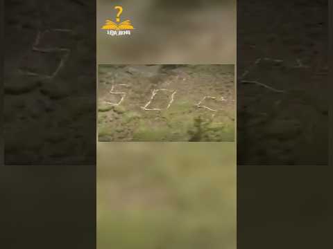 Misteri tanda SOS di gunung Asahidake Jepang #pendaki #jepang #gunung