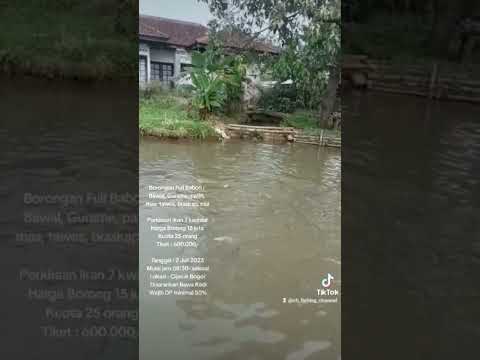 Dibuka Borongan Full Ikan Babon 2 Juli #mancingmania #mancing Borongan