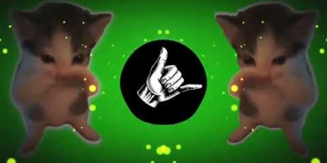 DJ KICAU KICAU MANIA SLOW VIRAL REMIX FULL SONG VIRAL TIKTOK TERBARU 2026 YANG KALIAN CARI!!