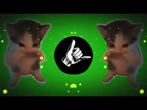 DJ KICAU KICAU MANIA SLOW VIRAL REMIX FULL SONG VIRAL TIKTOK TERBARU 2026 YANG KALIAN CARI!!