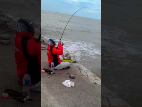 Mancing spot tanah mas semarang
