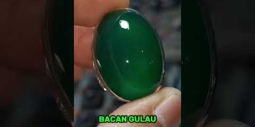 BATU BACAN GULAU#untukparapecintabatu#batuakik#batupermata#batumulia#gemstone#cincin#ring#akik