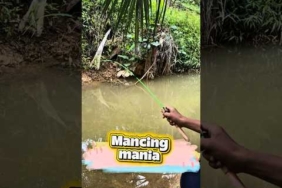 Mancing mania #mancingmania #komedi #funny #ngakak #sketsakomedi