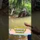 Mancing mania #mancingmania #komedi #funny #ngakak #sketsakomedi