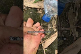 Salah satu resiko mancing liar mase # #fishing #mancing #mancingliar #mancingmania #mancinglaut