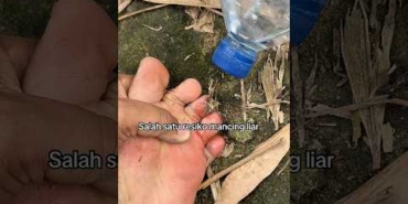 Salah satu resiko mancing liar mase # #fishing #mancing #mancingliar #mancingmania #mancinglaut