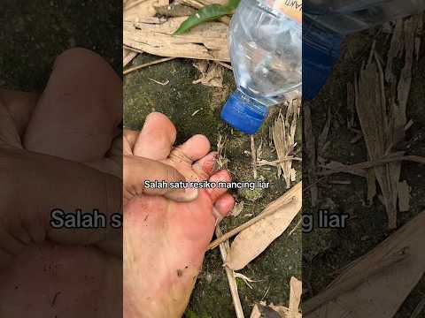 Salah satu resiko mancing liar mase # #fishing #mancing #mancingliar #mancingmania #mancinglaut