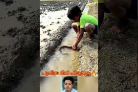 new fishing  #mallutraveler#fishingfreaks#shortsX#mallu#malayalam#m4tech