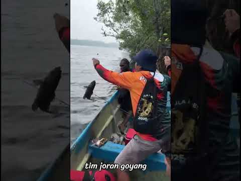 mancing mania #mancing
