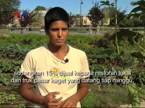 Kebun Kota Mendidik dan Sehatkan Warga – Liputan Feature VOA