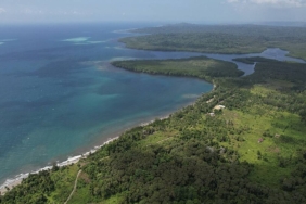 belajar-dari-negara-lain,-duit-subsidi-harus-dialirkan-untuk-melindungi-alam-indonesia